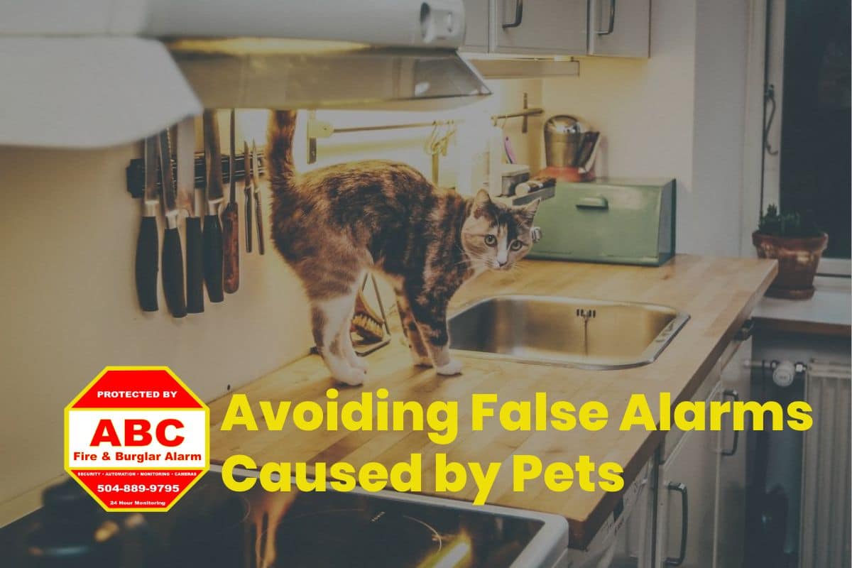 Residential Security System