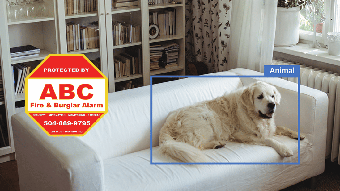 Add Value to Your Security Camera System with Video Analytics